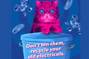 Recycle Your Electricals Campaign Partner